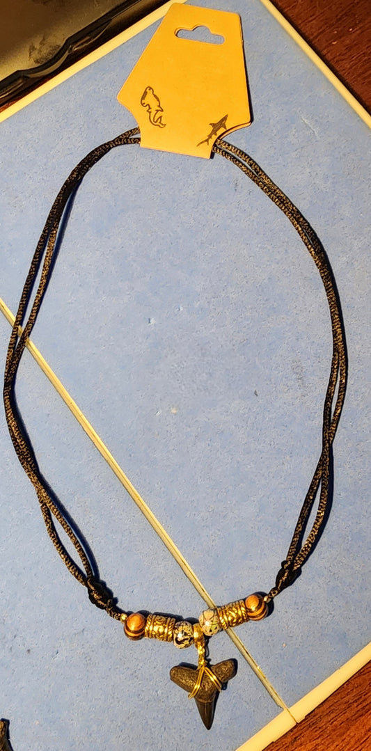 Florida Fossil Lemon Shark Tooth Necklace