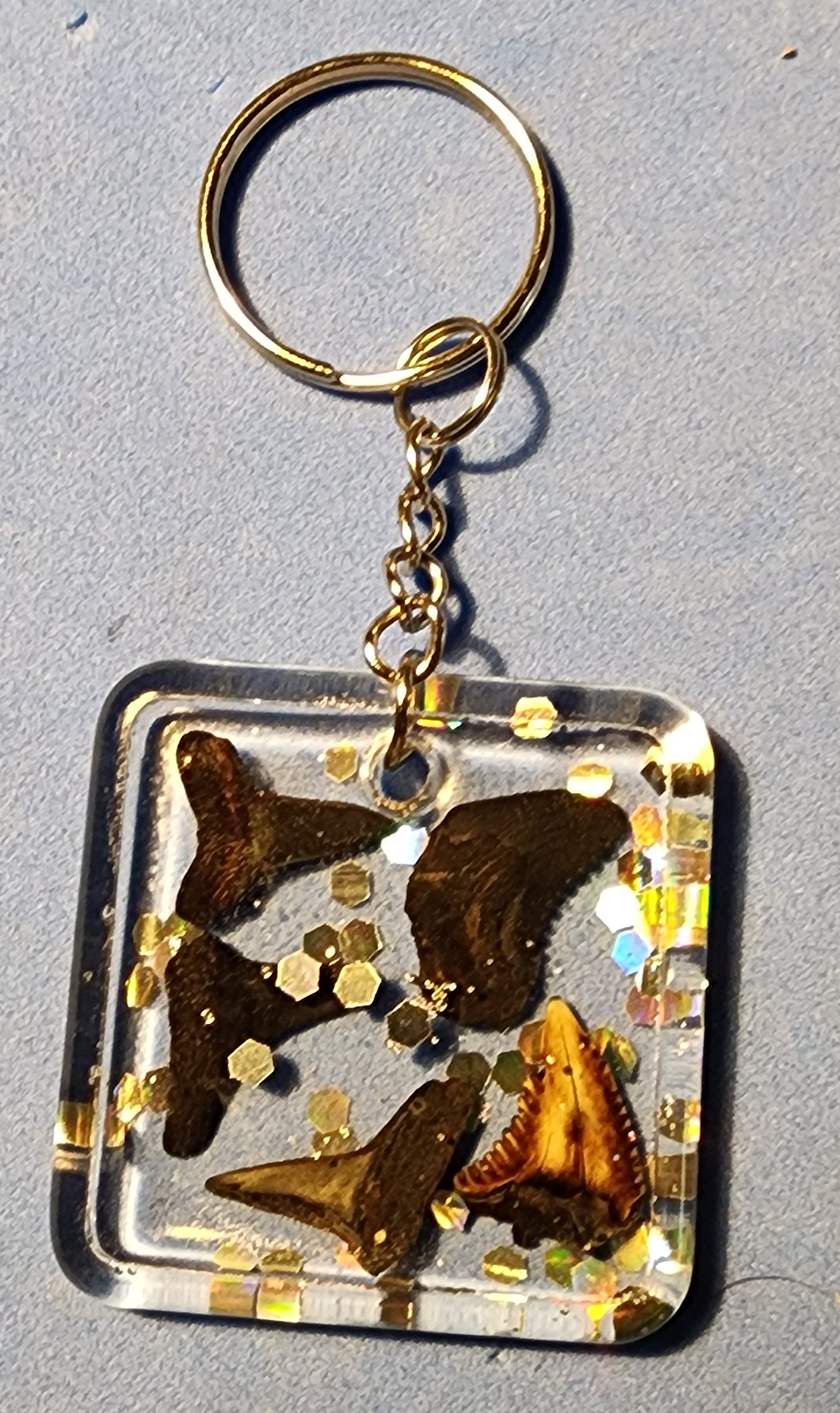 Glitter Fossil Shark Tooth Keychain (Heart/Round/Square)